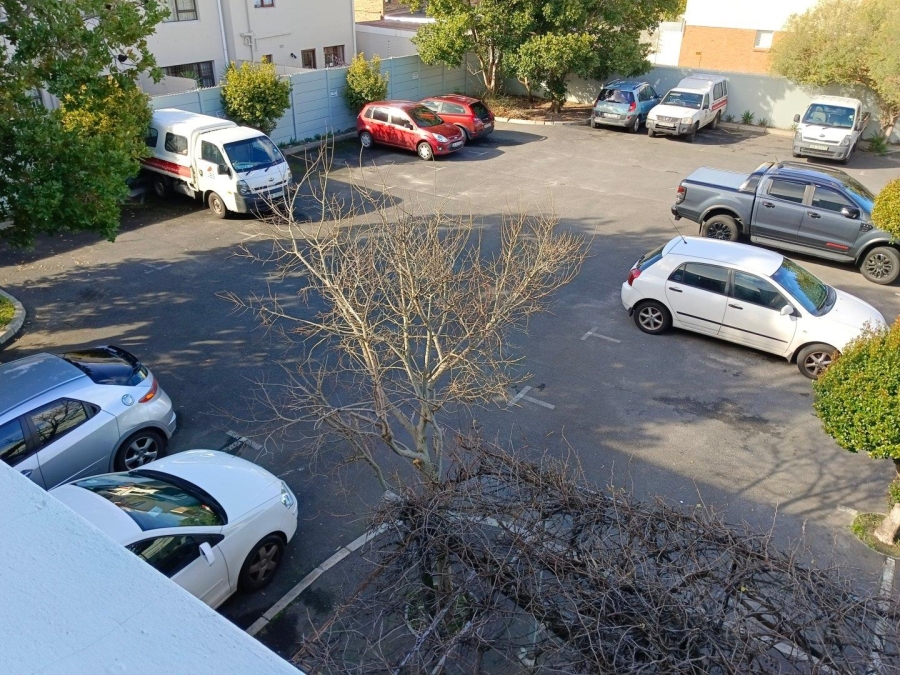 To Let commercial Property for Rent in Diep River Western Cape